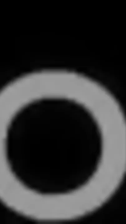 Bakı aeroportunda Hüseyn Həsənov İZDİHAMI