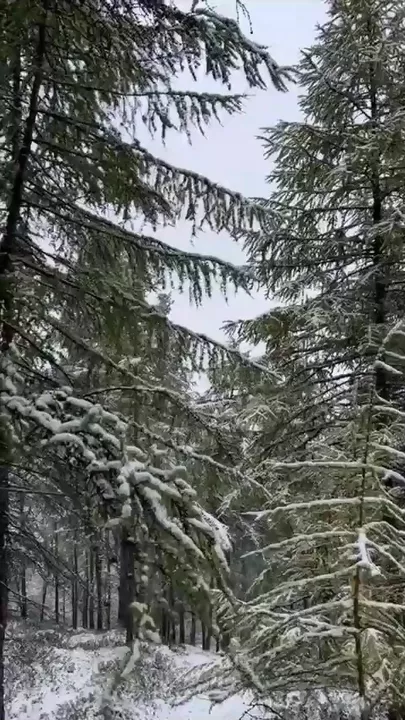 Rusiyanın bu bölgəsinə yağan qar insanları təəccübləndirdi