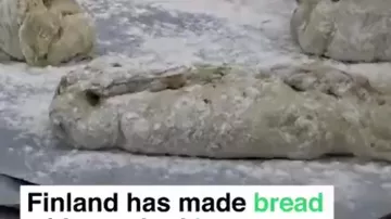 В Финляндии начали печь хлеб из насекомых