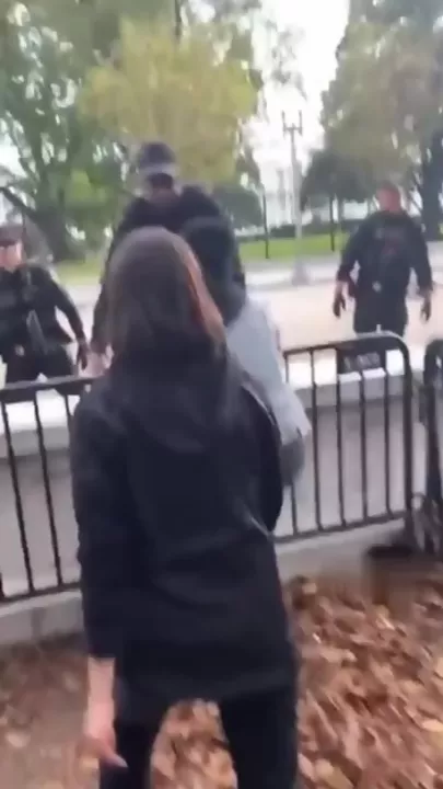 Пропалестинские протестующие прорываются в Белый дом