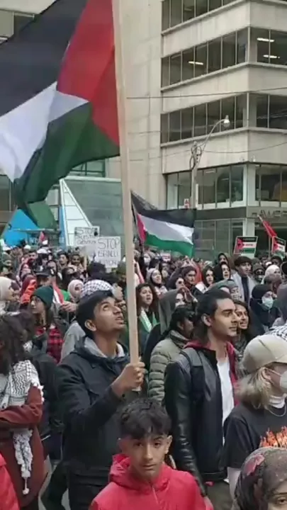 Жители Торонто вышли на митинг в поддержку Палестины
