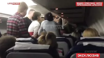 Дебош на борту самолета Москва — Гоа сняли на видео