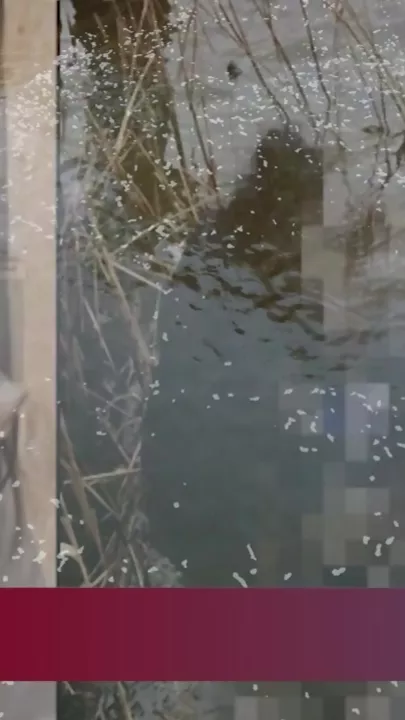 Adilə Mehdiyevanın cənazəsi Azərbaycana gətirilir?