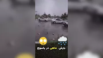 Дождь из рыбы прошёл над иранским городом Ясудж