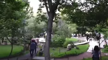 Полиция применяет светошумовые гранаты для разгона протестующих у здания парламента в Ереване3