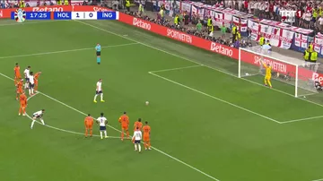 Niderland 1-1 İngiltərə