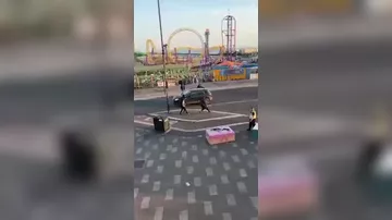 Дети мигрантов дерутся на мачете в Англии