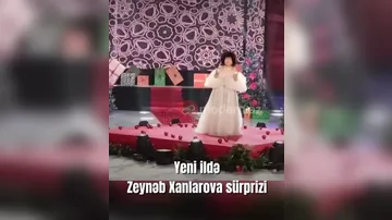 Zeynəb Xanlarovadan Yeni il sürprizi