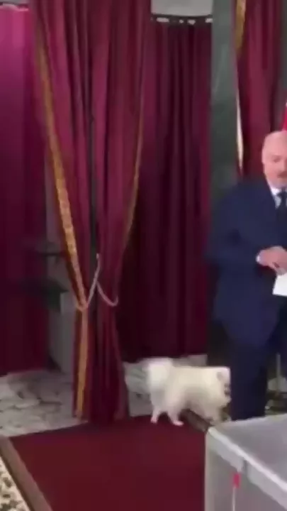 Александр Лукашенко проголосовал на выборах президента Беларуси