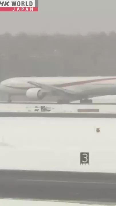 Аэропорт Титосе в Японии вынужден был приостановить работу из-за проникших на его территорию оленей