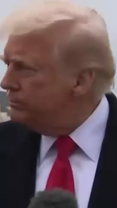 mic