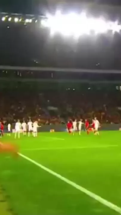 Portuqaliya-Danimarka 1:0