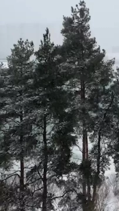 Москву накрыл сильнейший снегопад