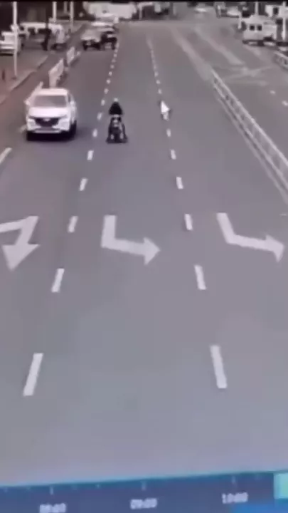 В Китае собака за рулем попала в ДТП