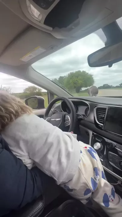 Бориса Джонсона ущипнул страус