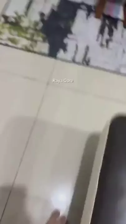 В Малайзии обезьяна попыталась украсть зеркало из дома