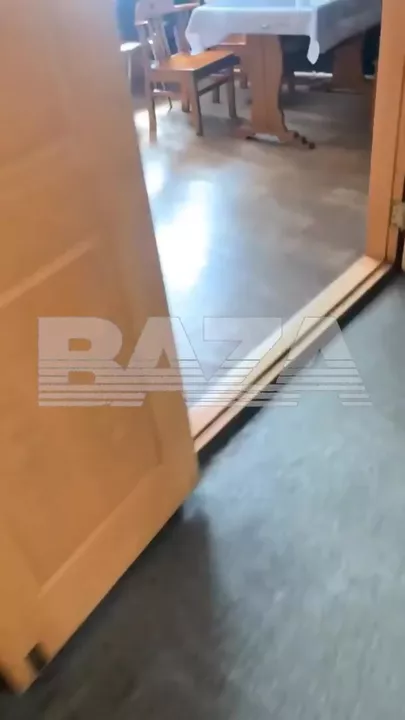 Любопытный медведь на Камчатке попросился на завтрак к людям и попал на видео