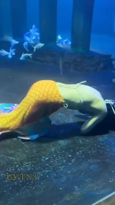 В Китае произошла трагедия с русалкой