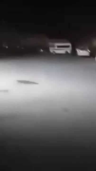 Новый виток столкновений в Сирии - 4