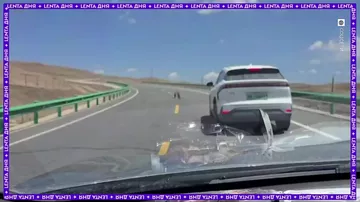 Драка двух сурков на автотрассе в Китае
