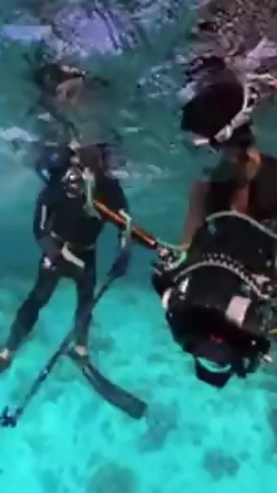 Нападение стаи акул на дайвера попало на видео