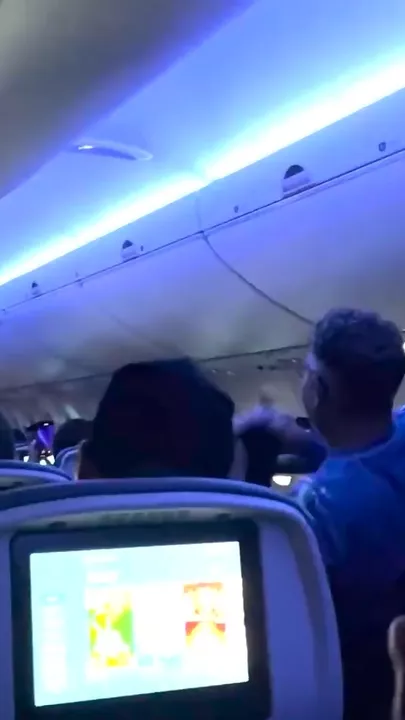 Голуби устроили хаос на борту самолета