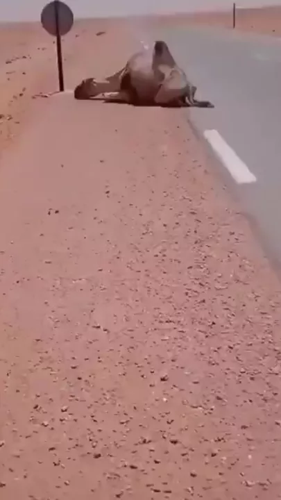 Аравийский полуостров накрыла аномальная жара