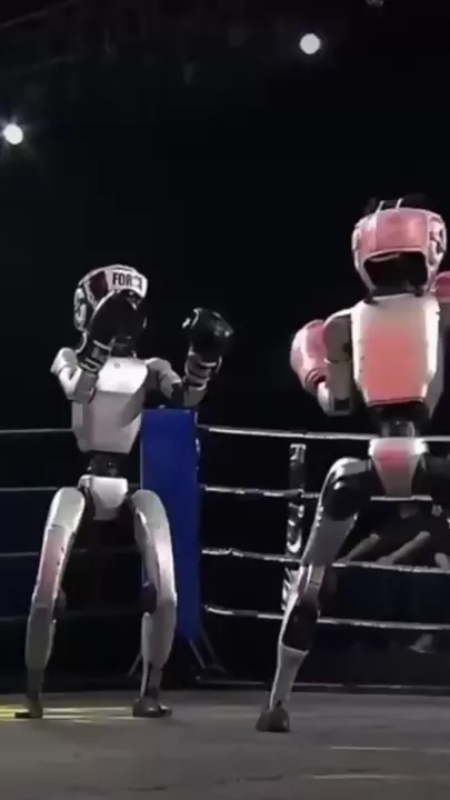 Бой между человекоподобными роботами-2