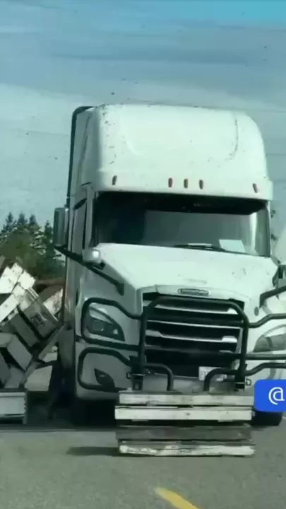 В США перевернулся грузовик с 250 миллионами пчел 3