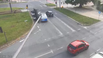 В польском городе лось решил неспешно прогуляться по улицам