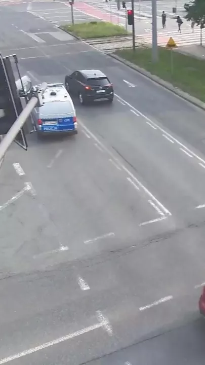 В польском городе лось решил неспешно прогуляться по улицам
