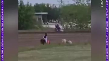 Пони устроила разборки на скачках