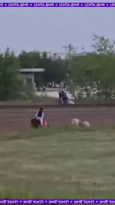 Пони устроила разборки на скачках
