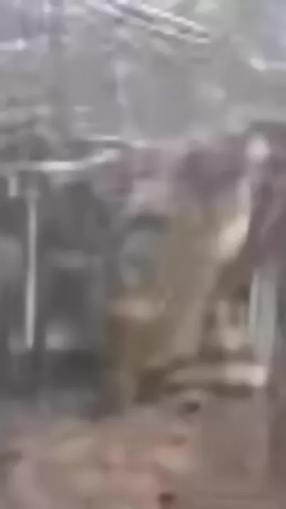 Очевидцы показали обломки упавшего в Индии пассажирского самолета