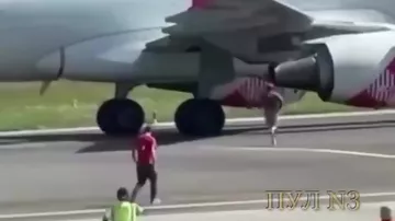 Мужчина погиб после неудачной попытки пробраться в двигатель самолета