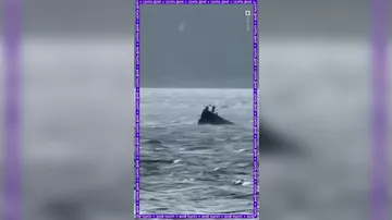 На Волге затонул плавучий дом