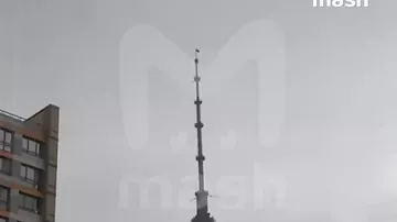 Останкинскую башню поразила серия молний