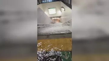 Токио погрузился под воду - 3