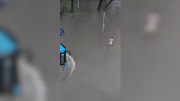 Москву подтопило - 2