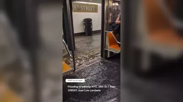 Проливные дожди затопили метро Нью-Йорка