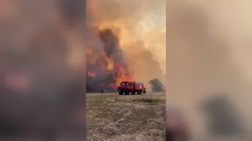 Лесные пожары в Европе добрались до Португалии