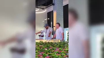 Araz Ağalarov Bakıya gəldi