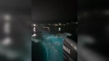 Ночное свечение планктона восхитило туристов