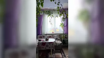 На Камчатке произошло сильное землетрясение