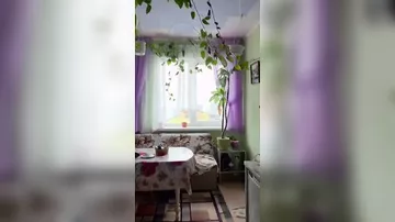 Rusiyada baş verən dəhşətli zəlzələnin görüntüləri