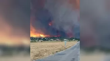 Крупные лесные пожары разбушевались во Франции