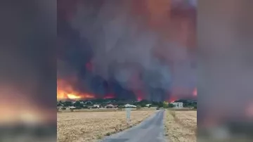 Во Франции бушуют сильнейшие лесные пожары - 3