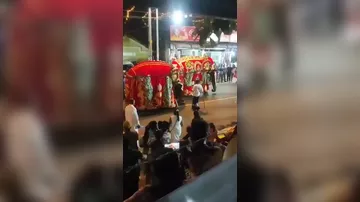 Нападение слона на человека попало на ВИДЕО