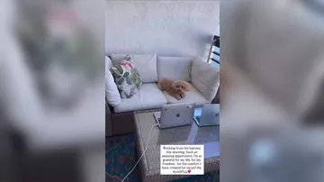 Günelin Mayamidəki lük MƏNZİLİ