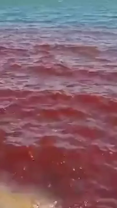 Галилейское море в Израиле напугало людей